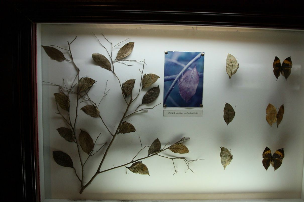 Таня Молокова =Соня | Екатеринбург