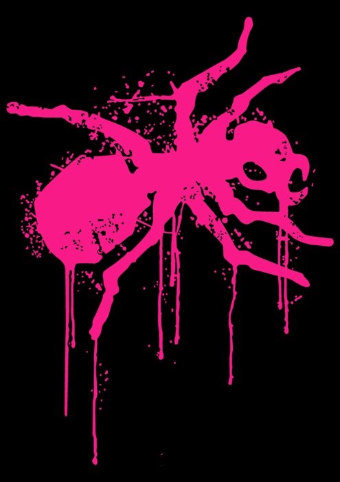 Yana Samoiliuk-Canova | Минск