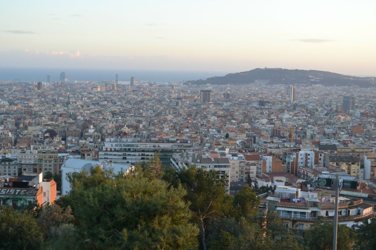 Nato Lashkhiya mandarina duck | Санкт-Петербург