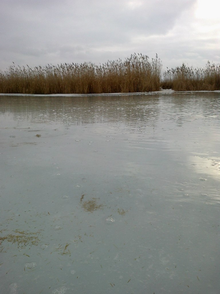 Сергей Гуренко JonGuru | Киев