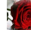 №39, Олеся Данильчук, 38 лет, Ровно №39, Олеся Данильчук, 38 лет, Ровно