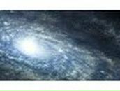 Степан Чалов Геннадьевич | Wellington