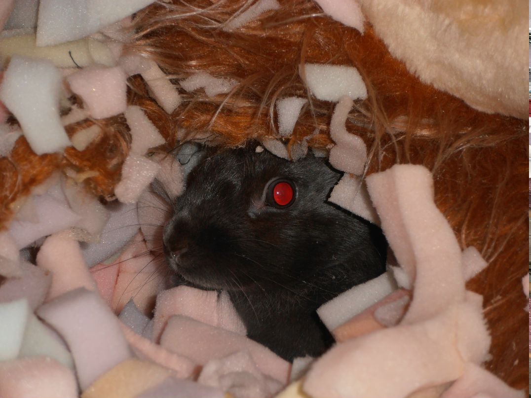 Мария Данилова | 