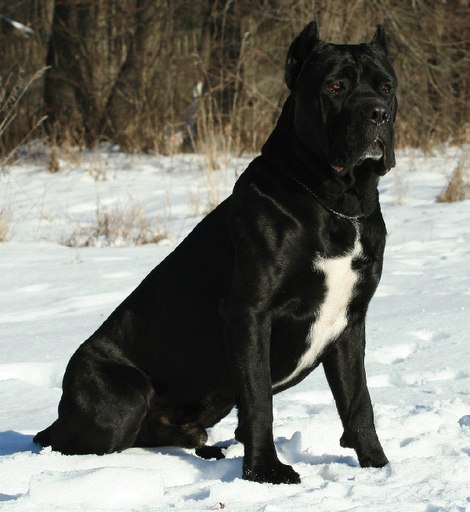 №46, Игорь Щербань, Токмак №46, Игорь Щербань, Токмак