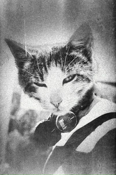 №92, Евгений, Тула №92, Евгений, Тула