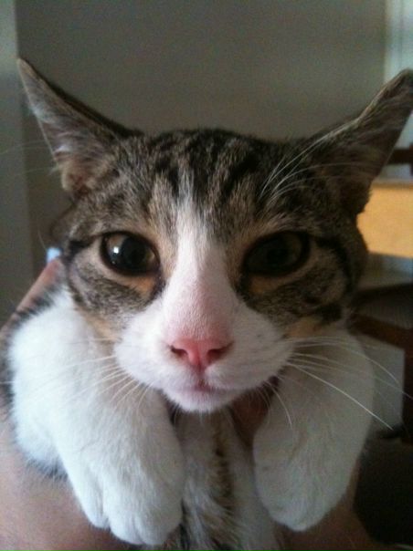 №1, Mickey Mouse, 43 года, New York City №1, Mickey Mouse, 43 года, New York City