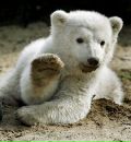 №28 Никита Курбатов 28.02.1987: профиль, фото, статус - ВКонтакте