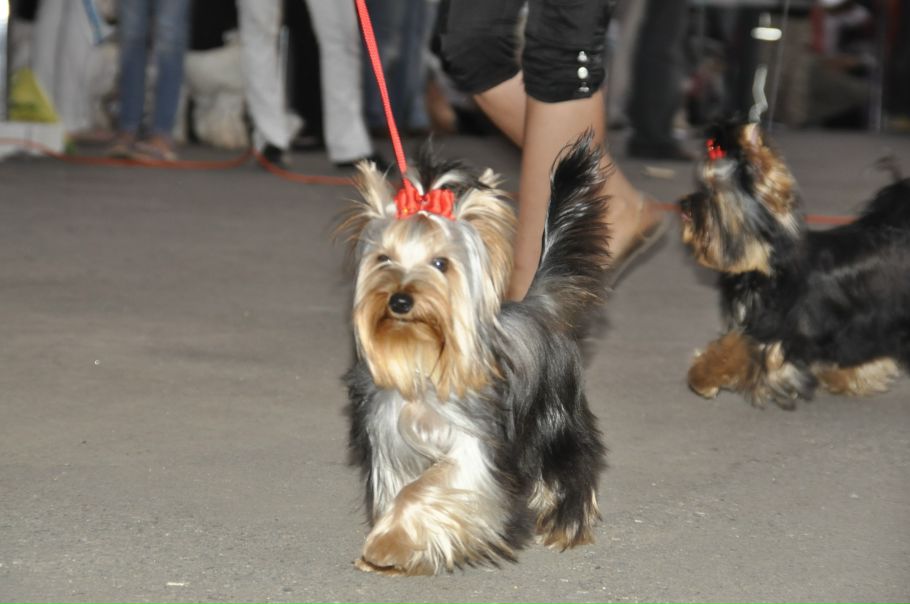 №7, Надежда Абдула, 40 лет, Харьков №7, Надежда Абдула, 40 лет, Харьков