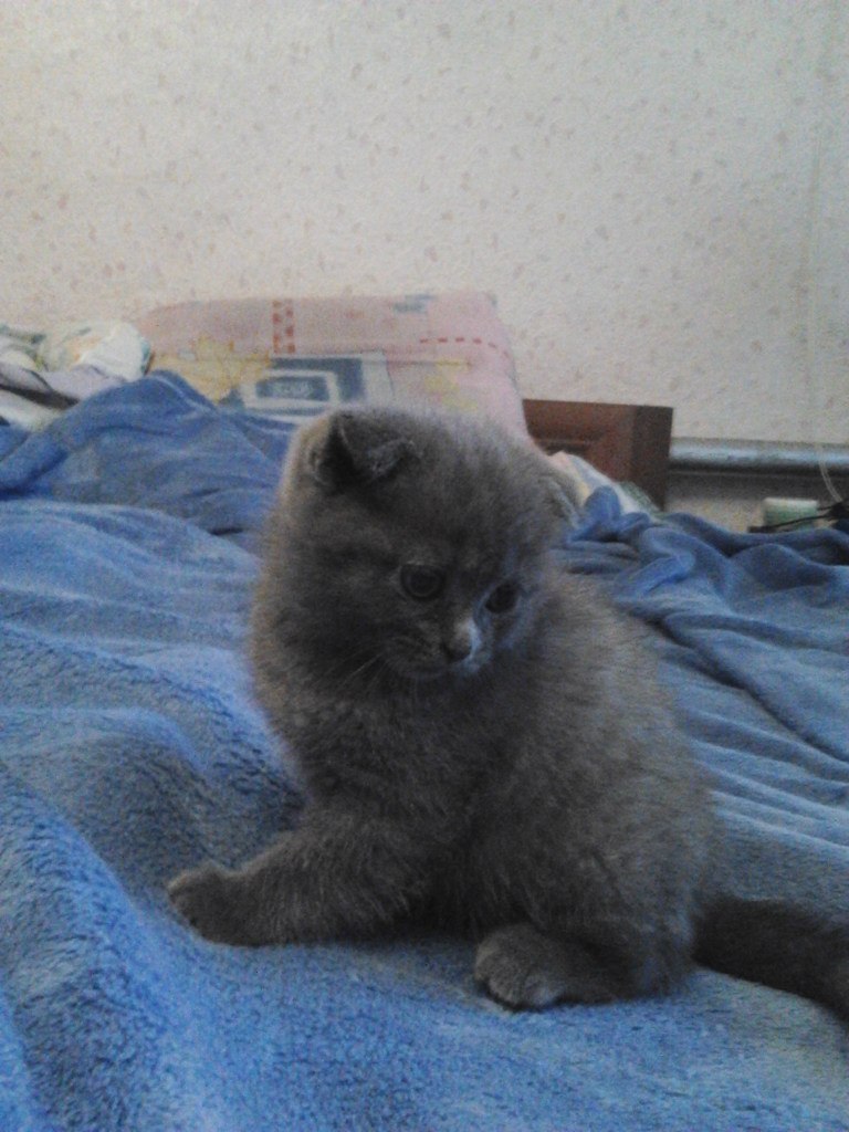 Екатерина Постольникова | Ростов-на-Дону