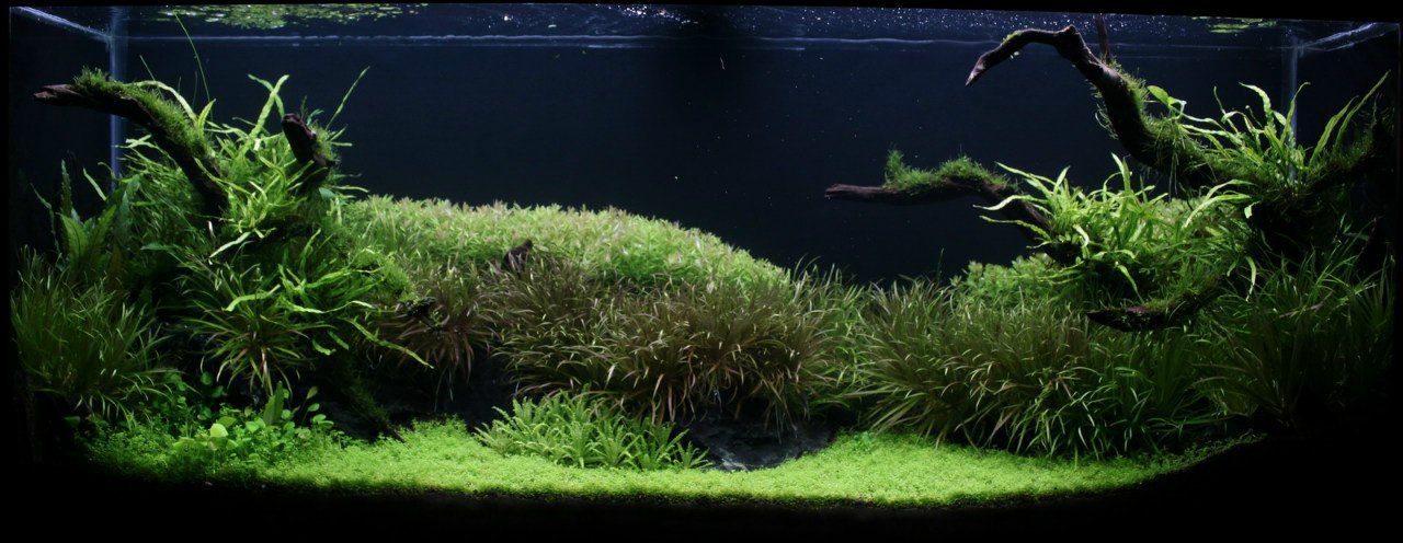 Vitya Sic | Кривой Рог