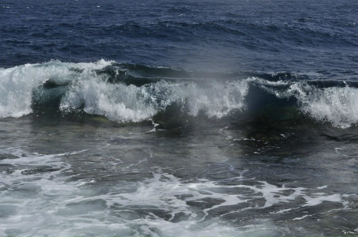 Данис Юнусов | Уфа