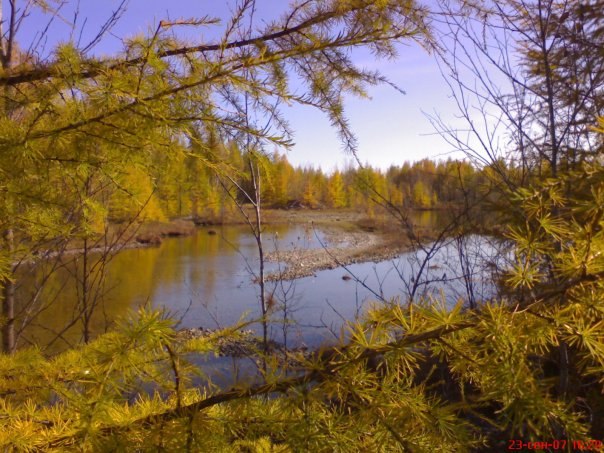 Андрей Бородин Викторович | Санкт-Петербург