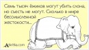 №12 Юлия Соколова