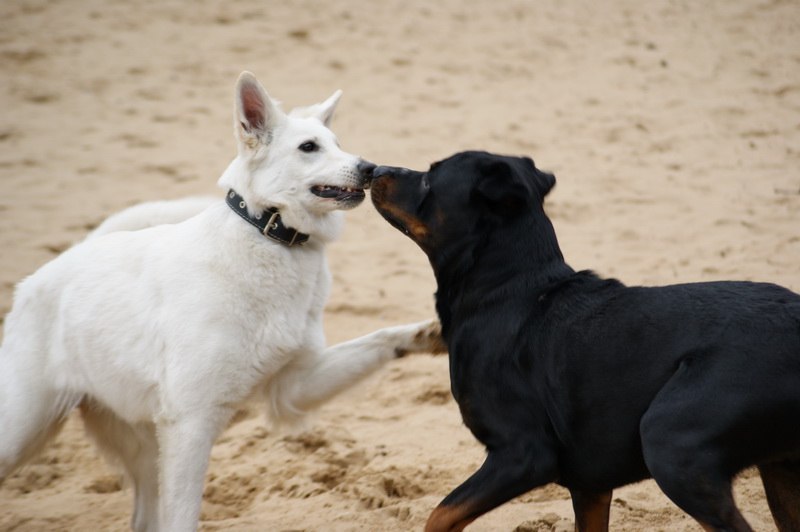 Ольга Перцатий | Энергодар