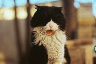 №32 Мария Синельникова 10.06.1992: профиль, фото, статус - ВКонтакте