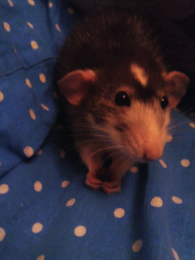 Полина Алхутова | Люберцы