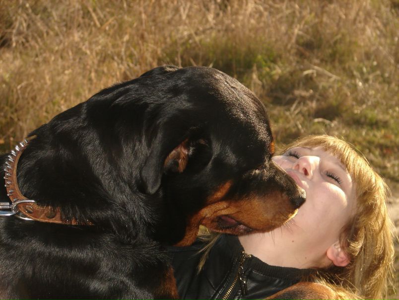 №109, Марина Мамаева, Бахчисарай №109, Марина Мамаева, Бахчисарай