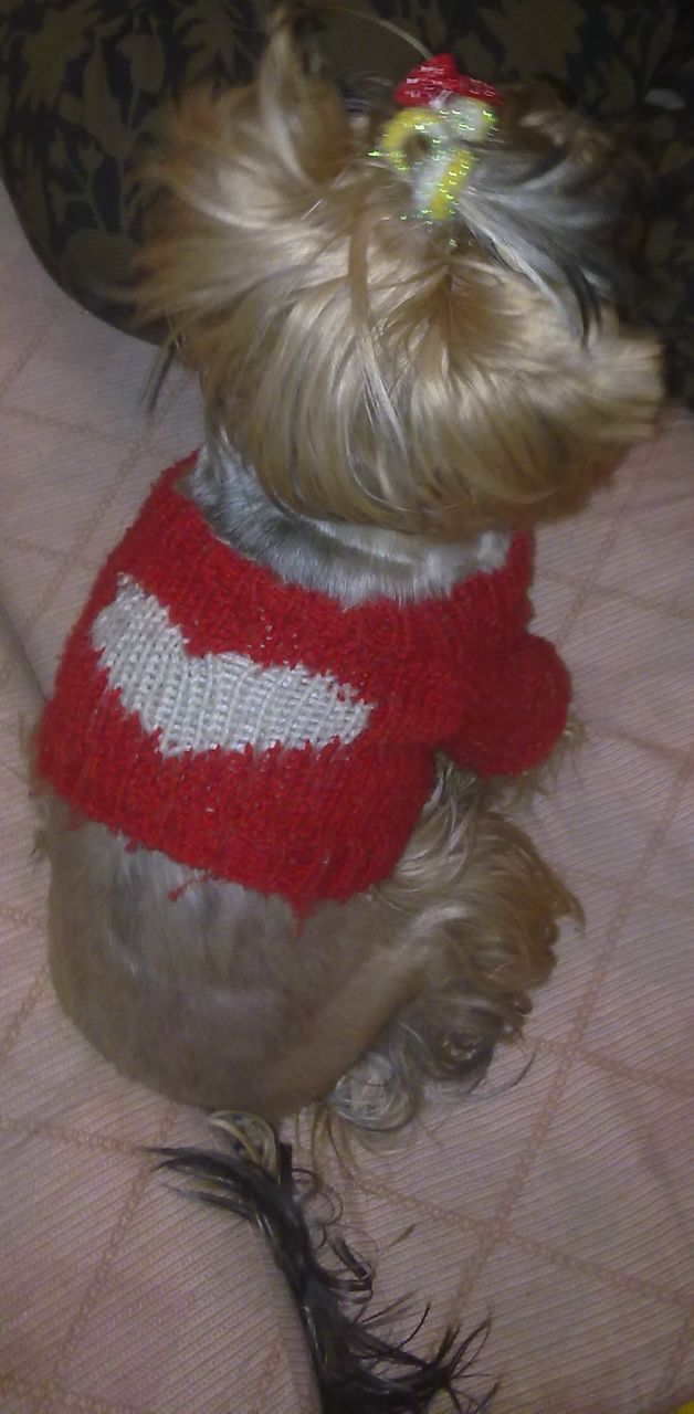 Кристина Каримова | Владивосток