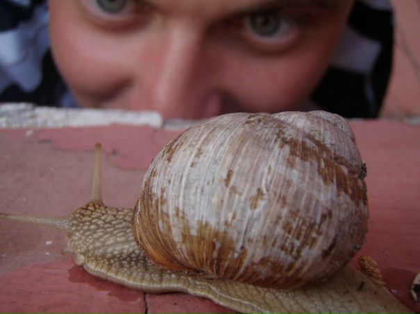 №62, Иван Тоцкий, Киев №62, Иван Тоцкий, Киев