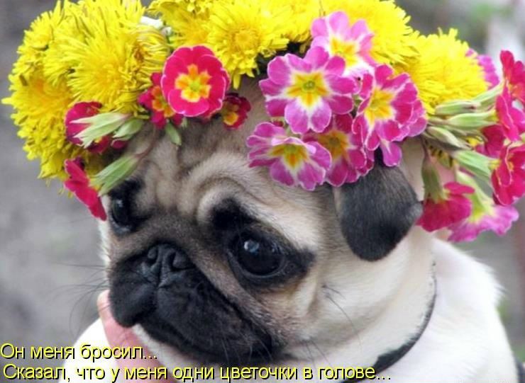 №155, Юличка Гайшук, 32 года, Черкассы №155, Юличка Гайшук, 32 года, Черкассы