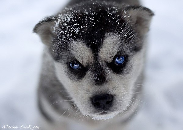 Игорь Неринг | Южно-Сахалинск