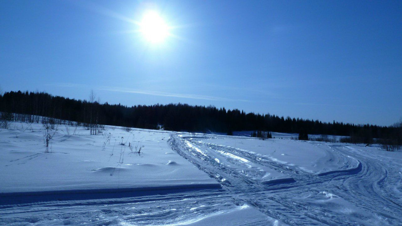 Тарас Вишняк | Новокузнецк