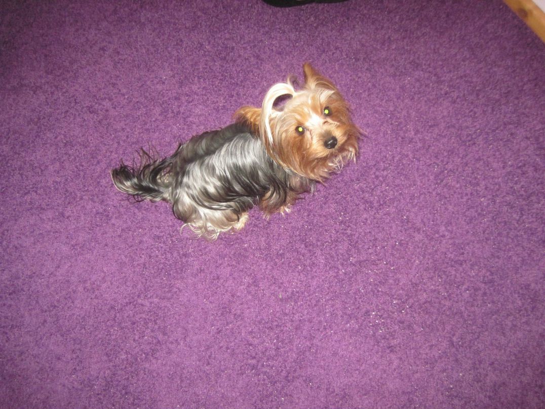 Julia Mueller | Uelzen