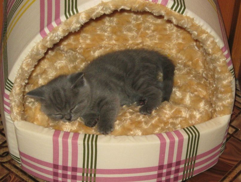 Даша Воробьёва | Кировск