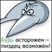 Рост Чернышов фотография #9 (источник - https://vk.com/id139392151)