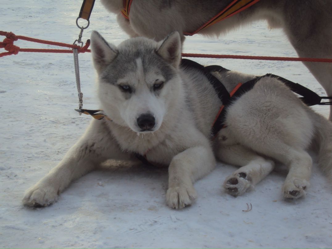 Тимур Тухтаров | Тюмень