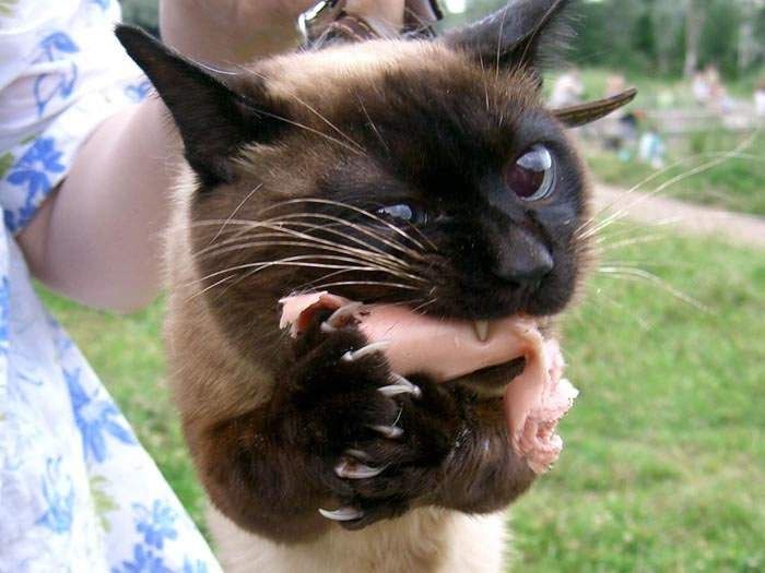 Дима Дорощук | Киев