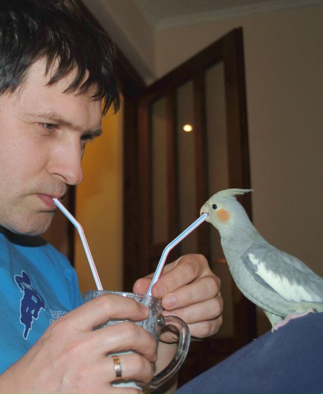 Олександр Чмиленко | Тернополь