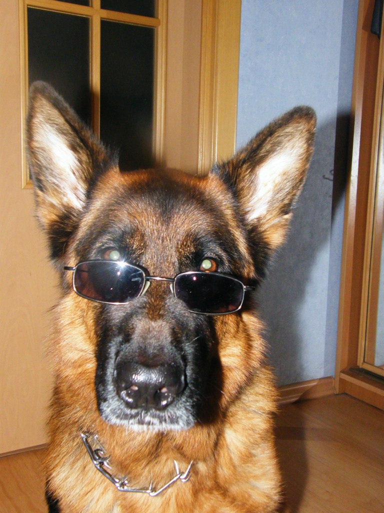 Андрей Коблов | Москва