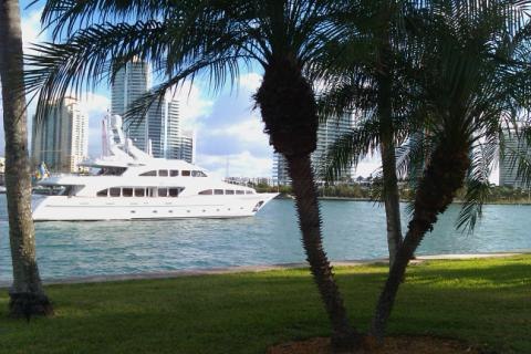 Данила Ильчик | 