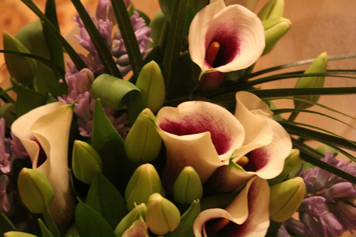 Марианна Климова | Москва