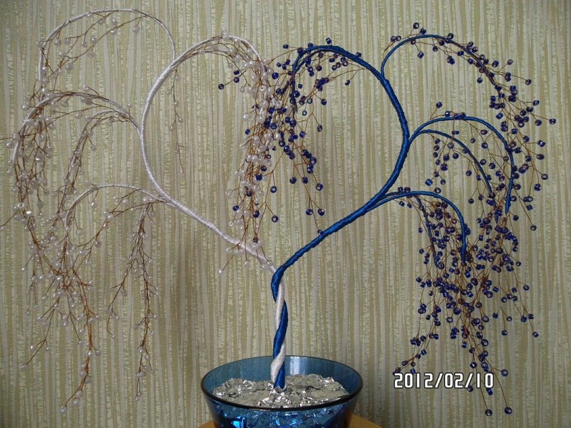 Танечка Шеф | Новополоцк