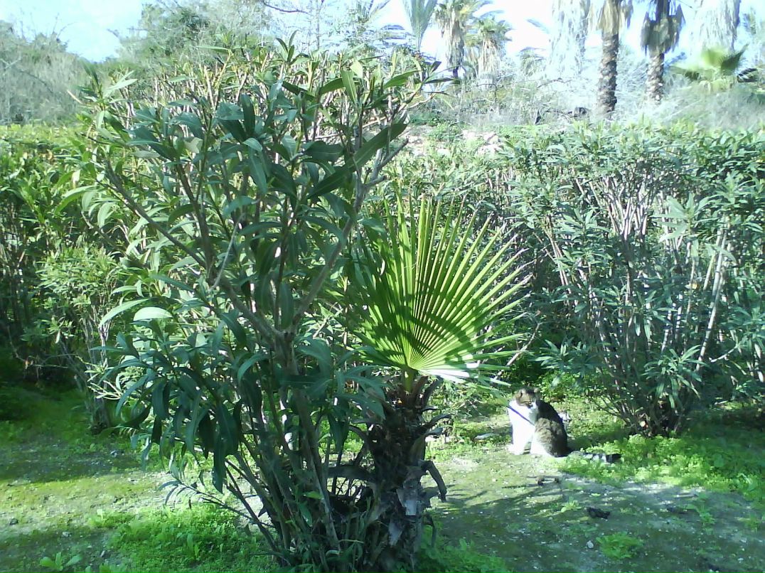 Людмила Рухленко | Москва