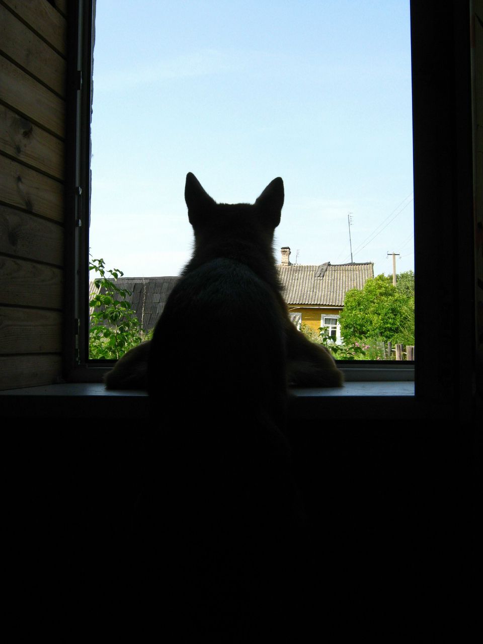 Марина Логвенкина | Санкт-Петербург