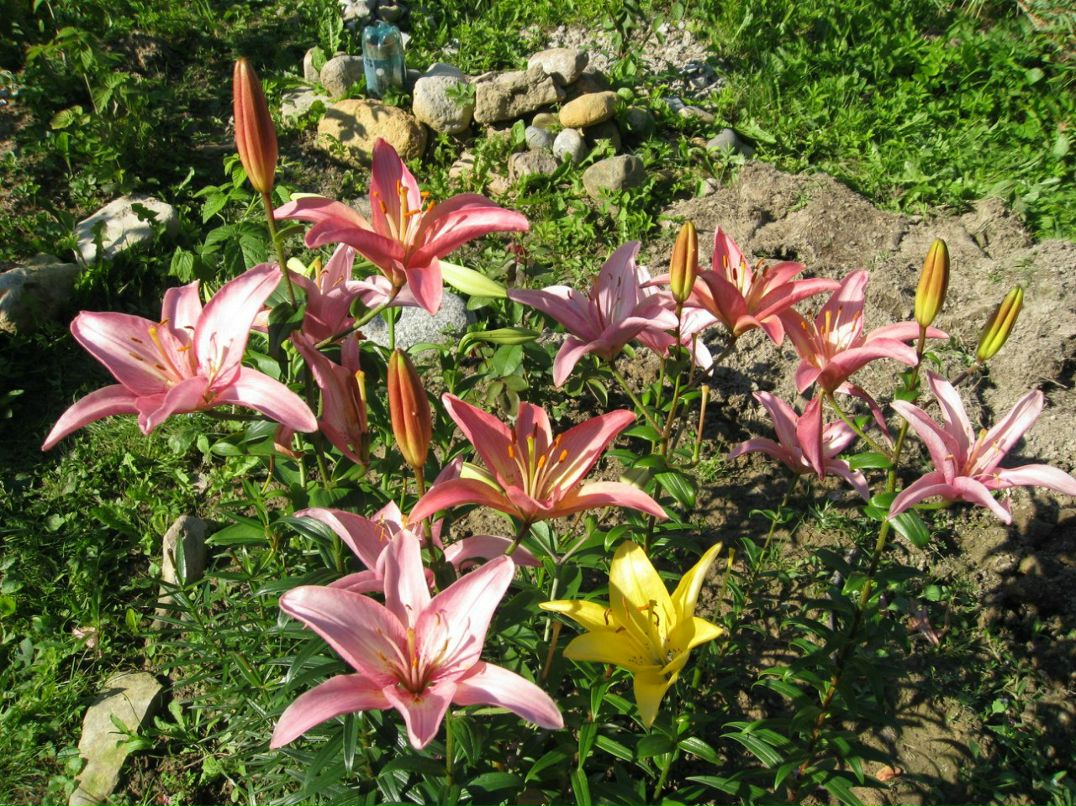 Евгения Рослякова | Санкт-Петербург