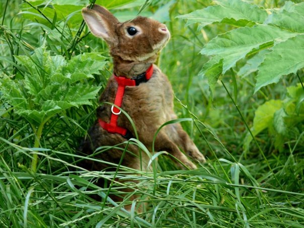 №16, Анна Герасева, 56 лет №16, Анна Герасева, 56 лет