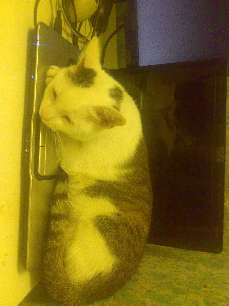 Тарлан Миркамиров Миркамирович | Санкт-Петербург