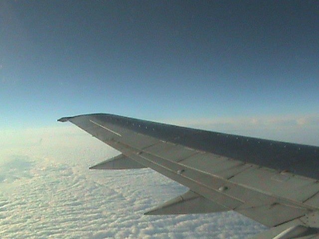 Екатерина Кузнецова | 