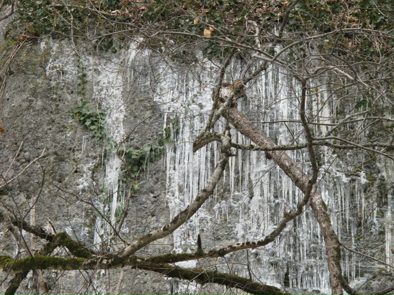 Игорь Баженов | 