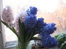 №20 Оксана Черных