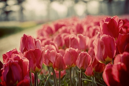 №47, Яна Киселёва, Москва №47, Яна Киселёва, Москва