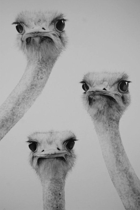 Ольга Литвин helga | Москва