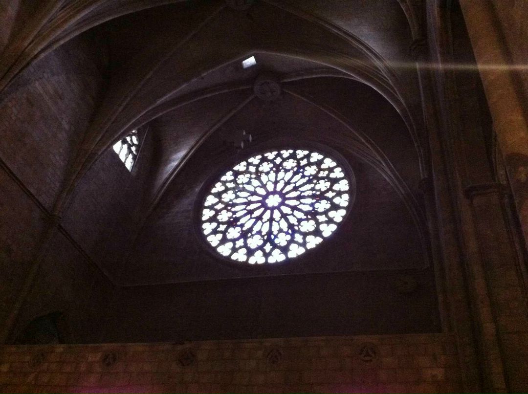 Яна Вашек | New York City