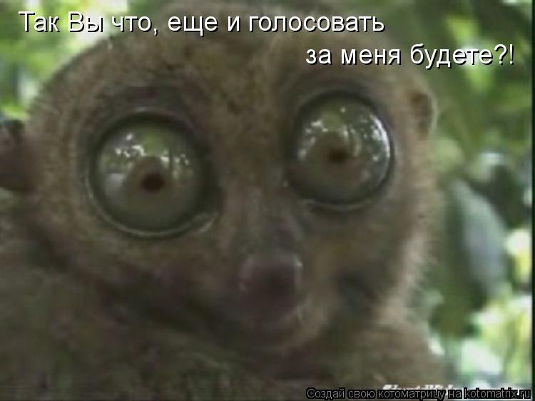 Дима Земляной | Львов