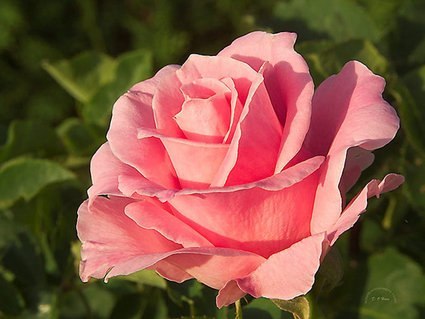 Татьяна Никитина | Москва