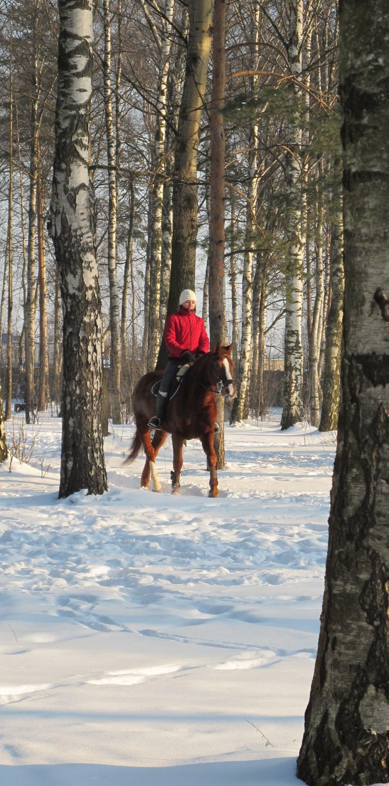 Наталья Карташова *** | Санкт-Петербург